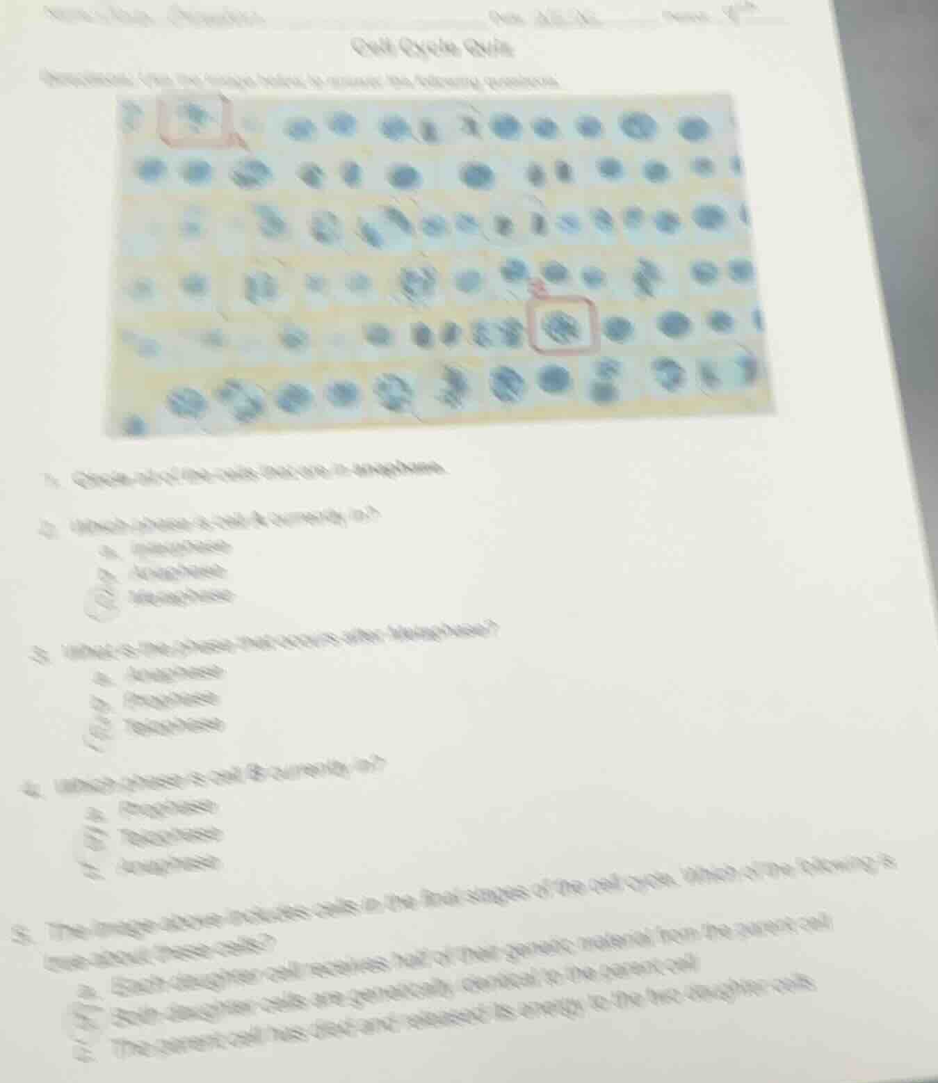 cell cycle quiz directions: use the image below to answer the following…