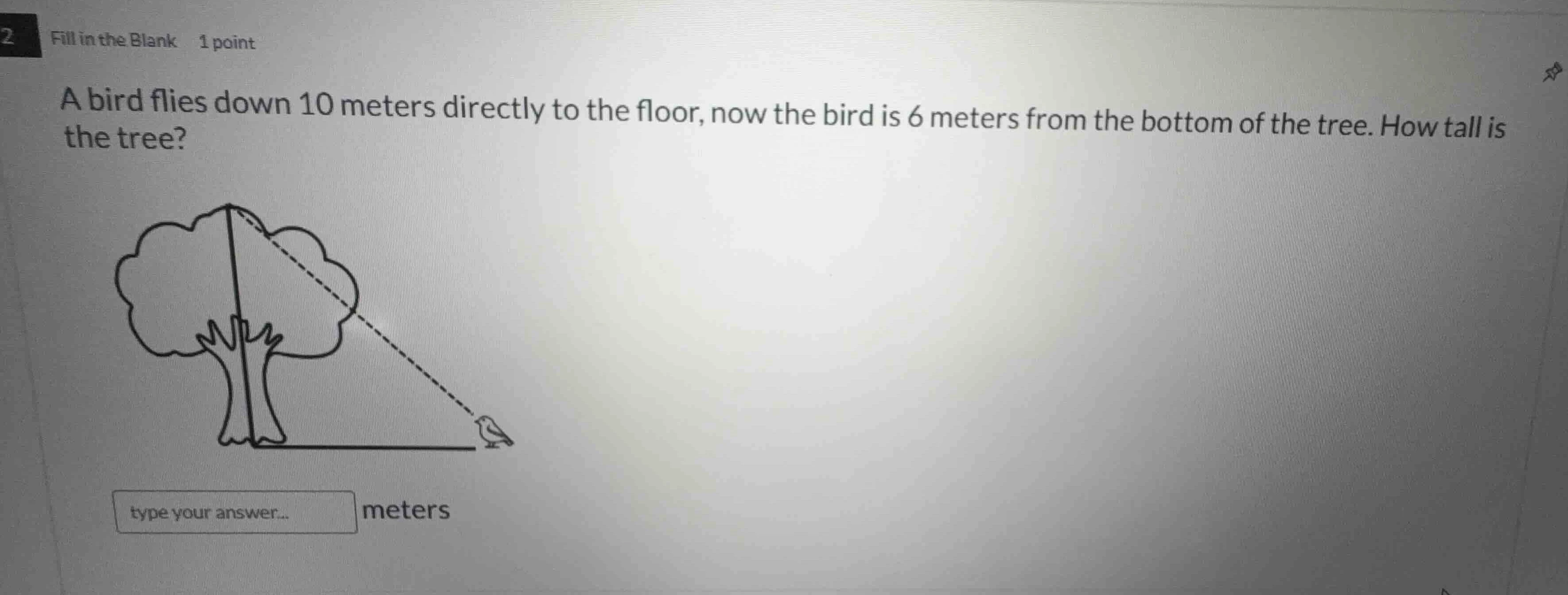 2 fill in the blank 1 point a bird flies down 10 meters directly to the…