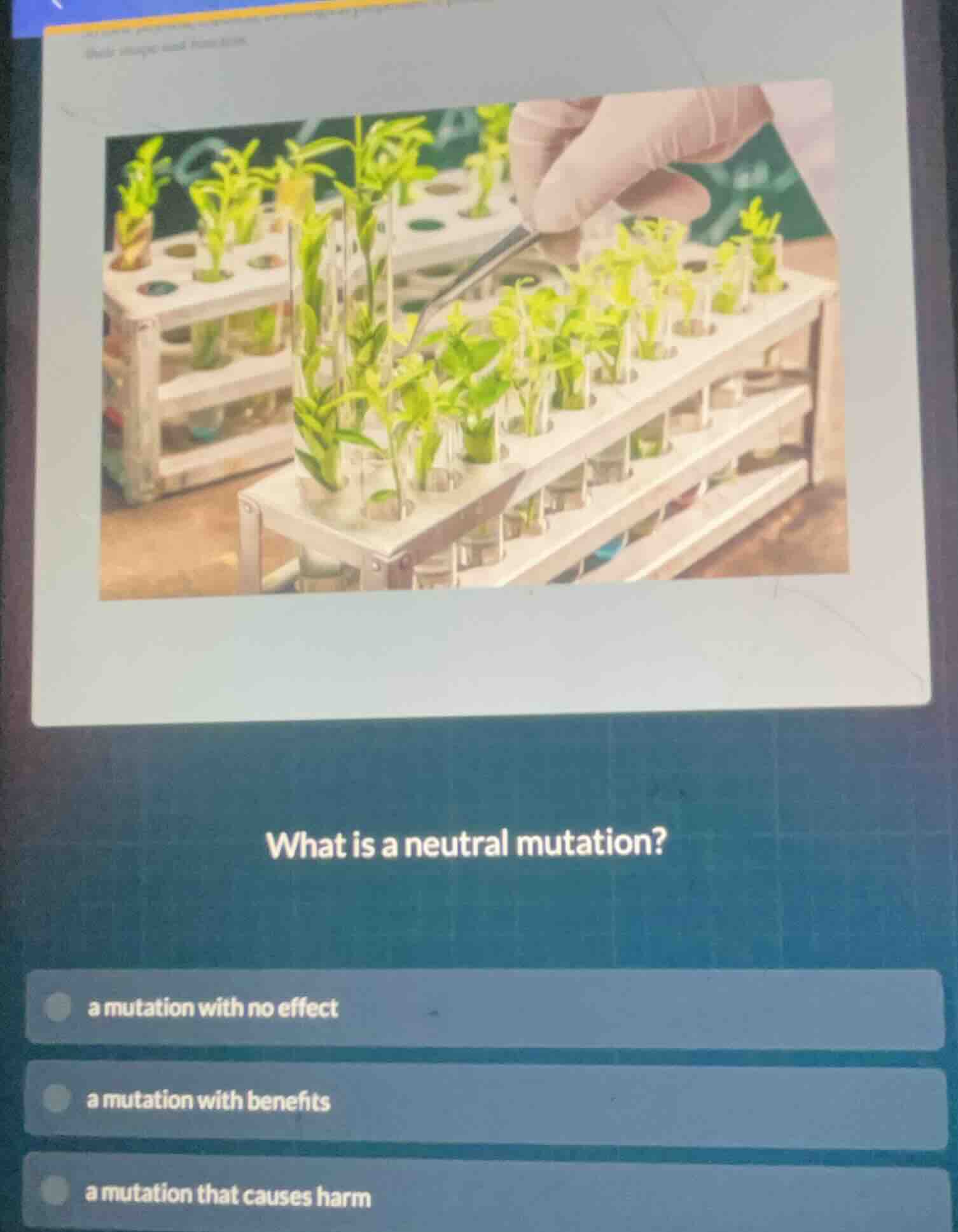 what is a neutral mutation? a mutation with no effect a mutation with b…