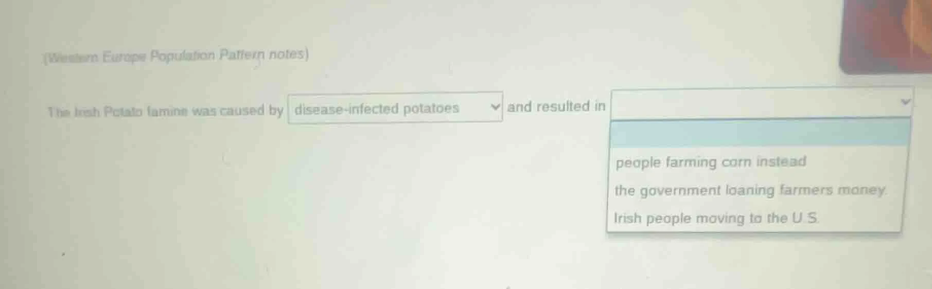 (western europe population pattern notes) the irish potato famine was c…