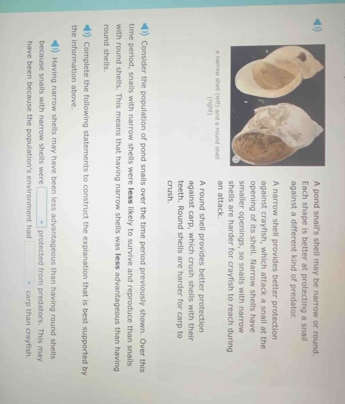 a pond snail’s shell may be narrow or round. each shape is better at pr…