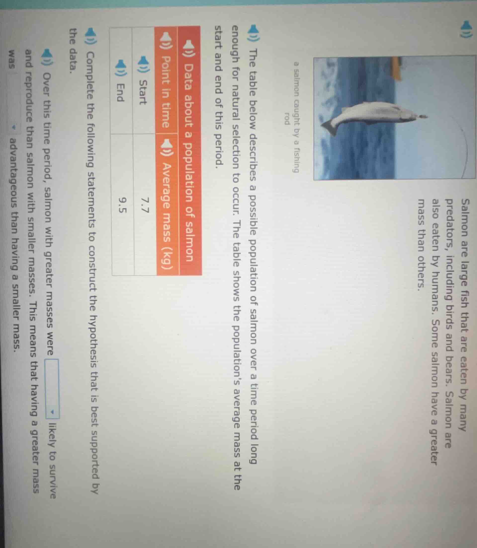 salmon are large fish that are eaten by many predators, including birds…