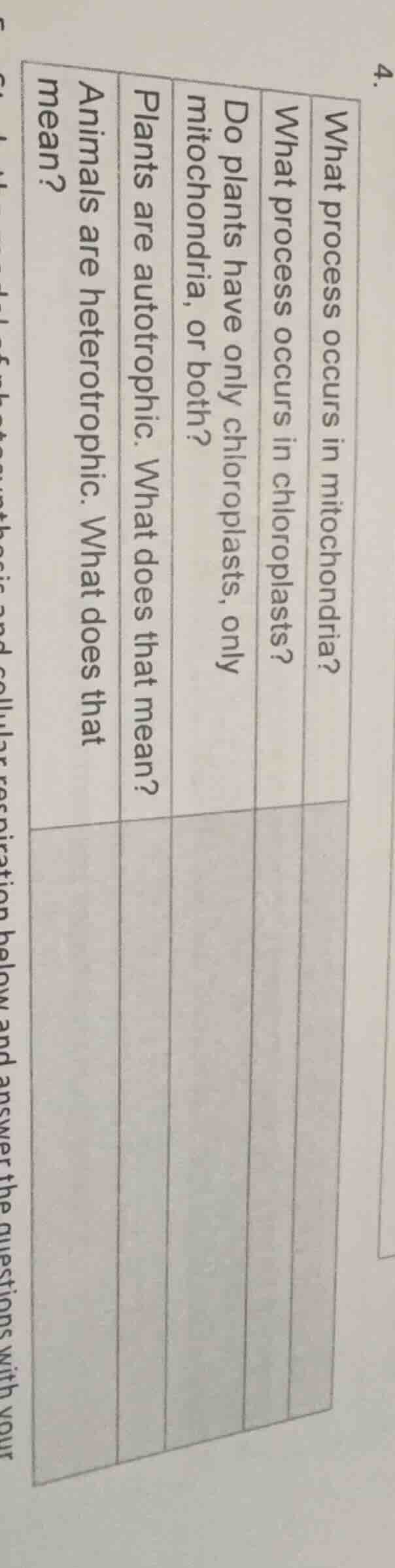 what process occurs in mitochondria? what process occurs in chloroplast…