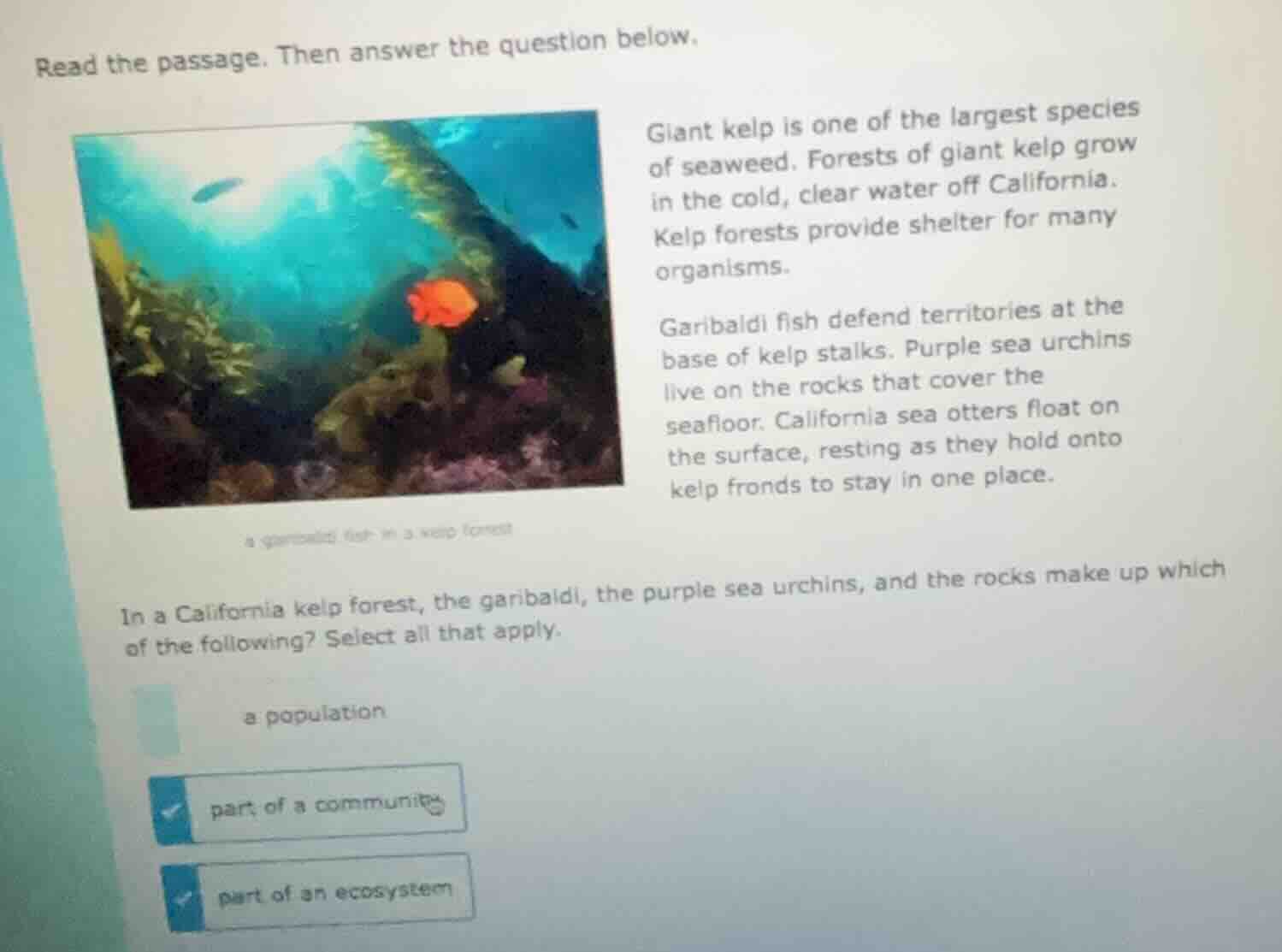 read the passage. then answer the question below. giant kelp is one of …