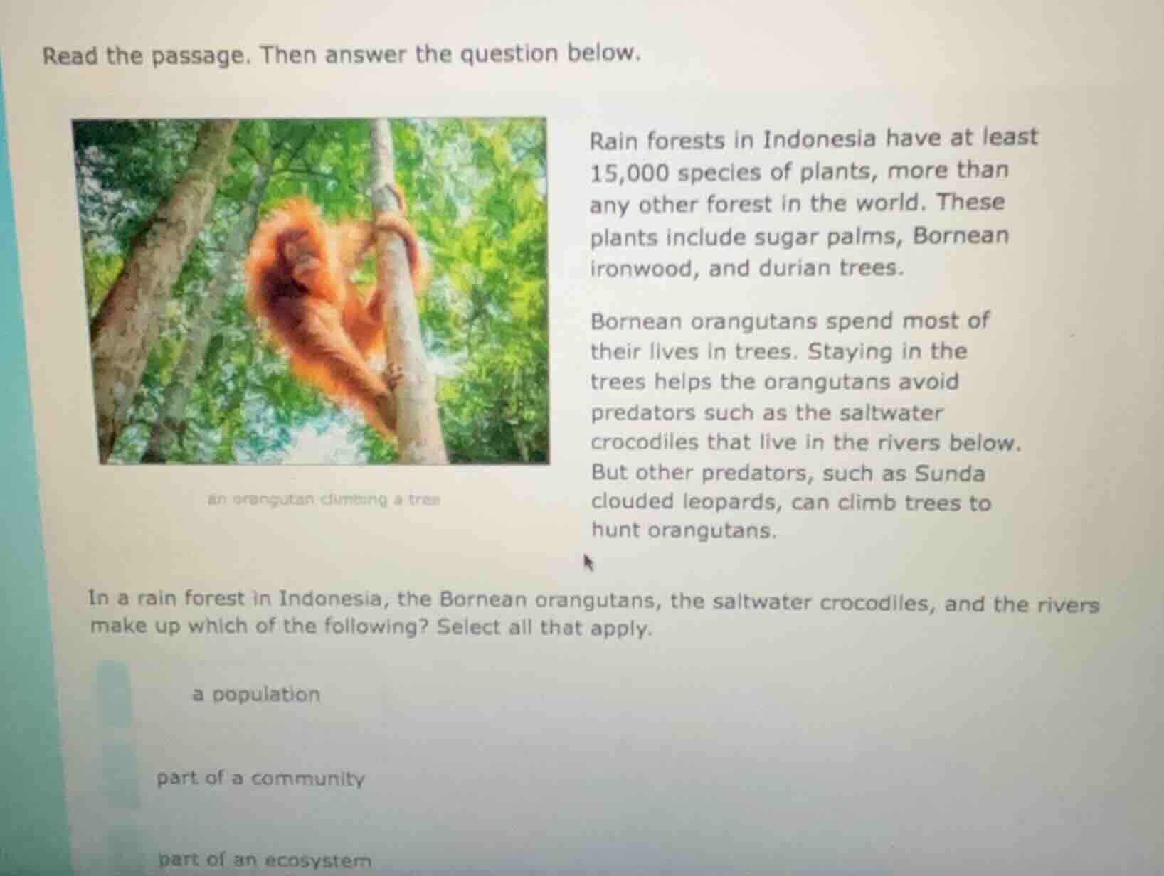 read the passage. then answer the question below. rain forests in indon…