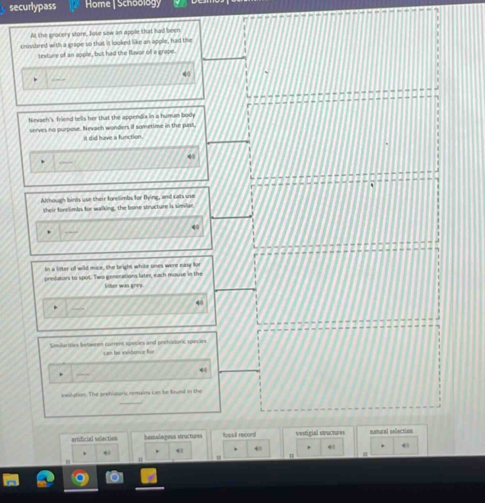 at the grocery store, jose saw an apple that had been crossbred with a …