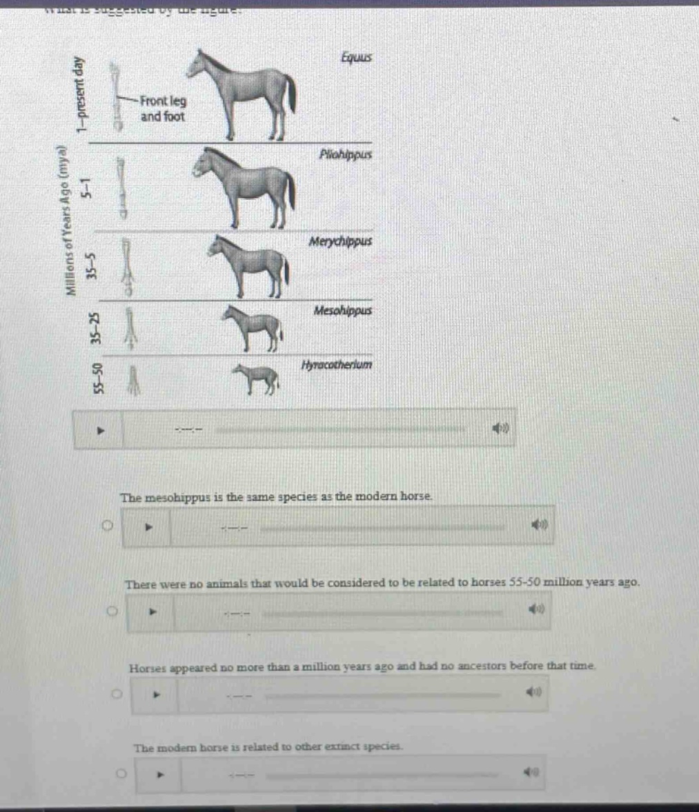 the mesohippus is the same species as the modern horse. there were no a…