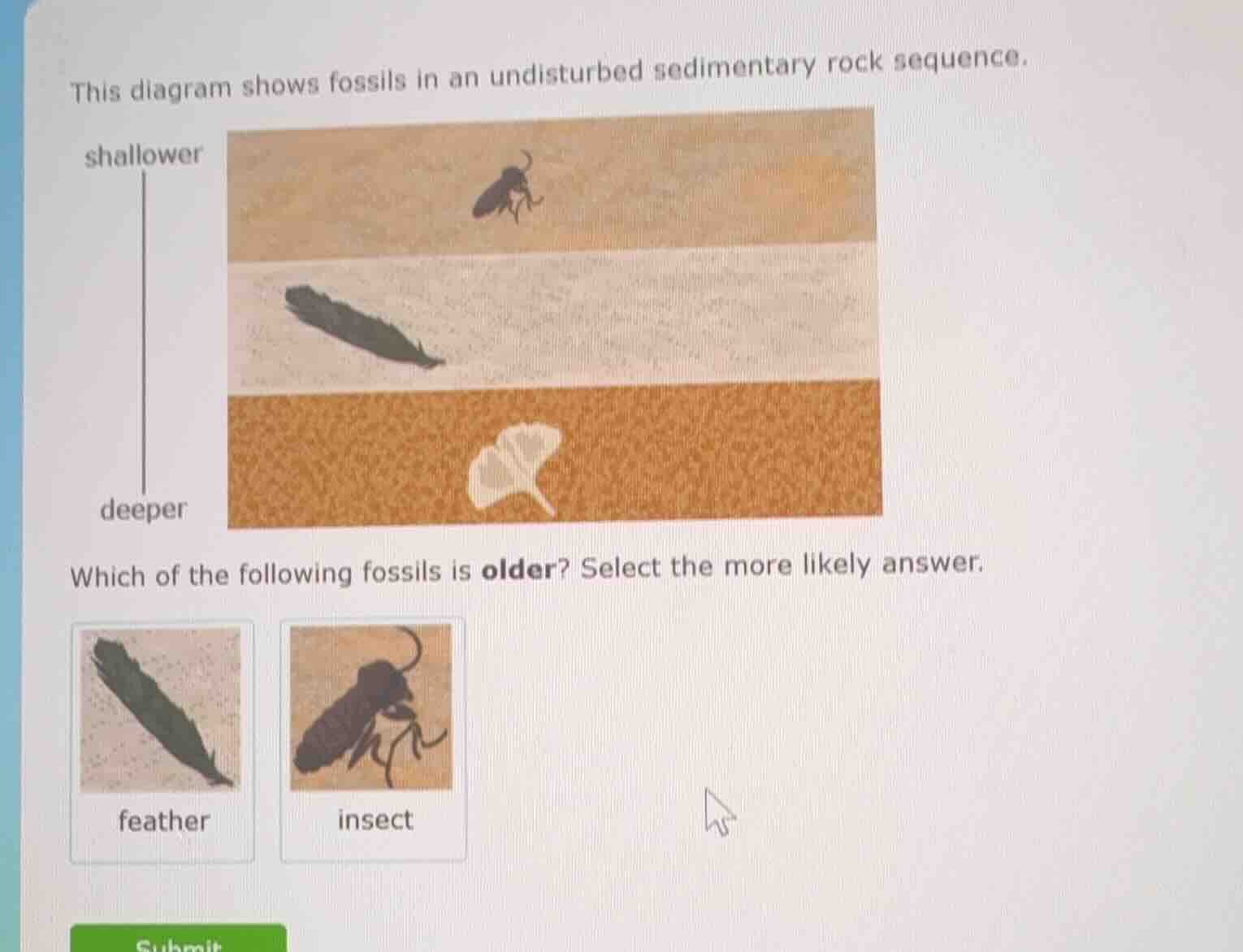 this diagram shows fossils in an undisturbed sedimentary rock sequence.…
