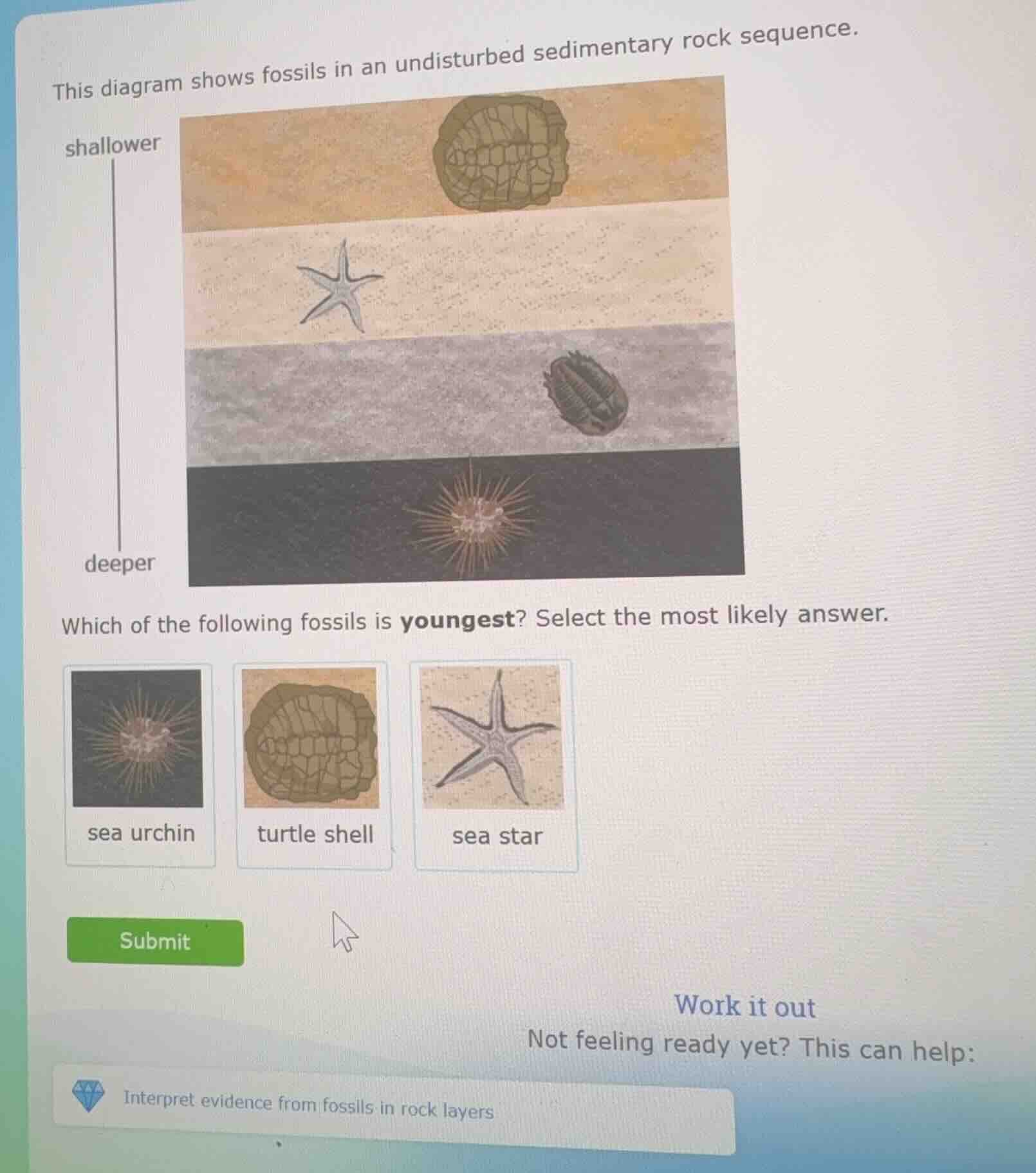 this diagram shows fossils in an undisturbed sedimentary rock sequence.…