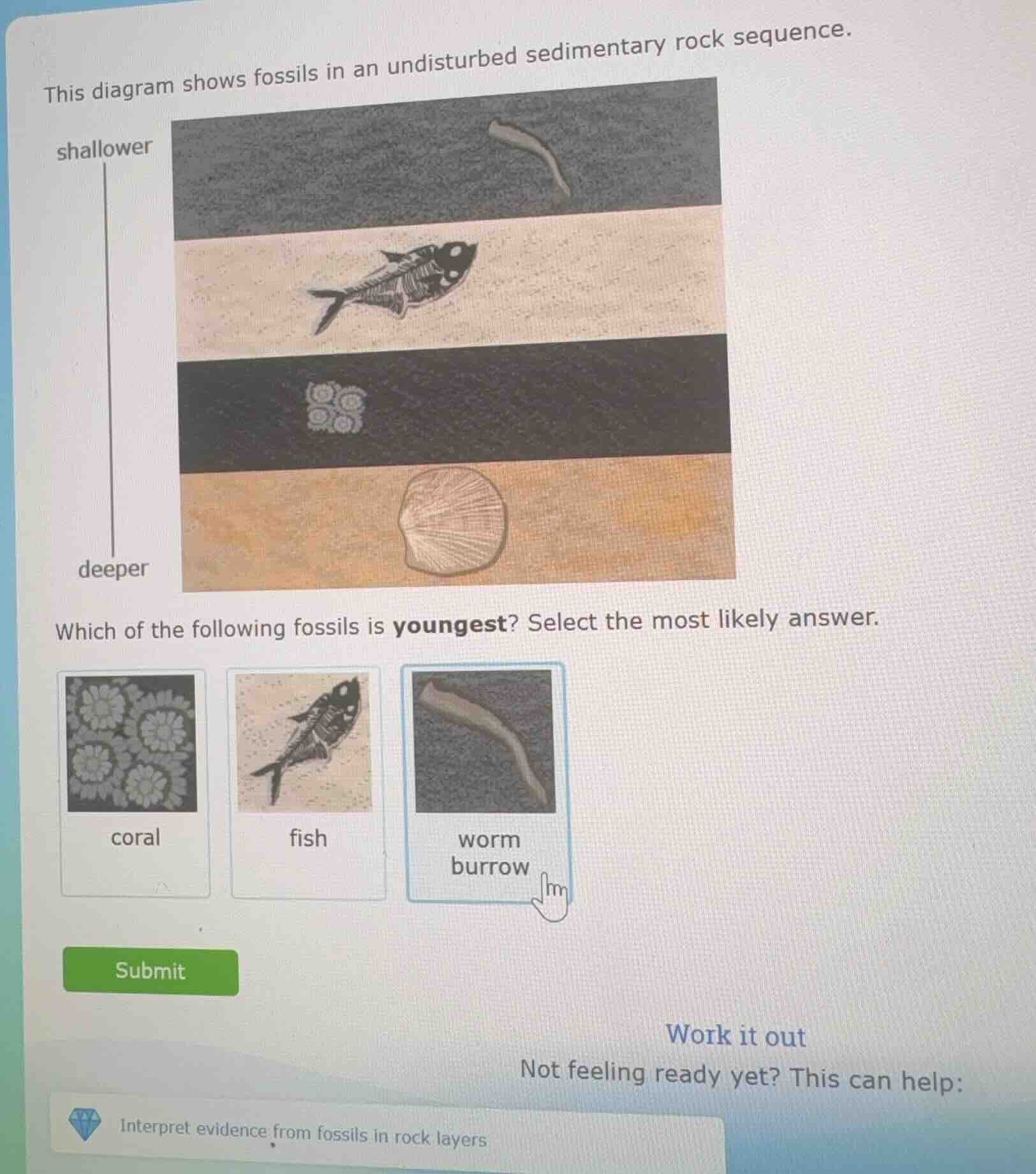 this diagram shows fossils in an undisturbed sedimentary rock sequence.…