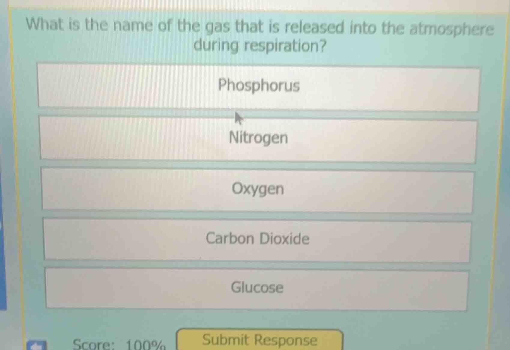 what is the name of the gas that is released into the atmosphere during…