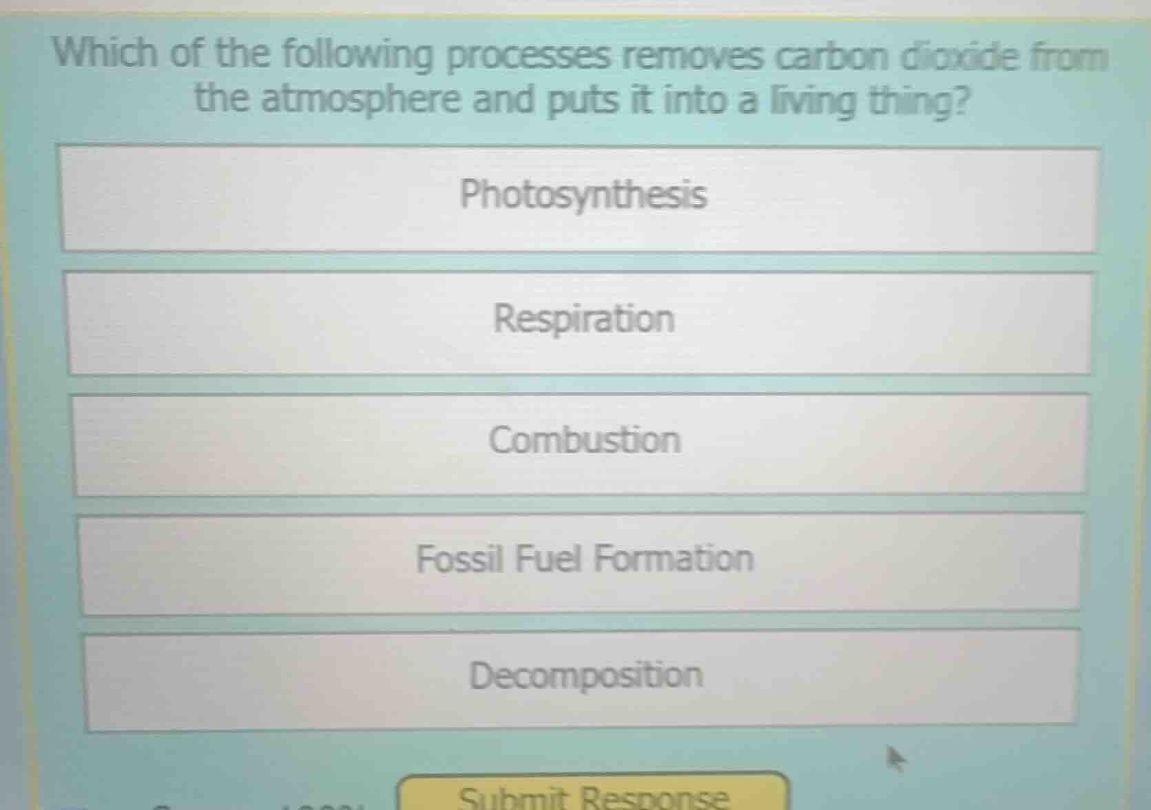 which of the following processes removes carbon dioxide from the atmosp…