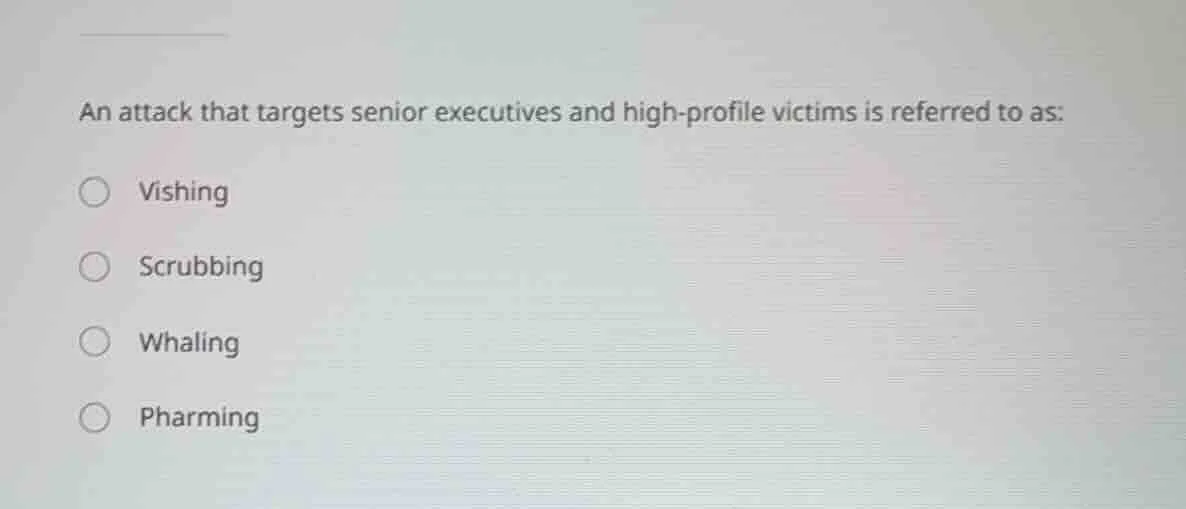 an attack that targets senior executives and high - profile victims is …