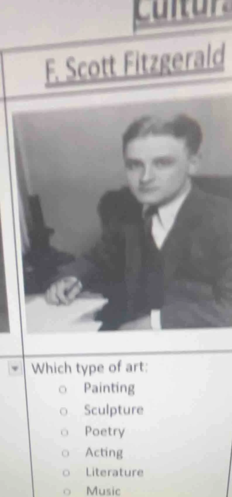 f. scott fitzgerald which type of art: painting sculpture poetry acting…
