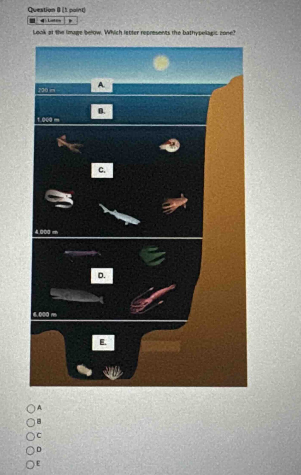 question 8 (1 point) listen look at the image below. which letter repre…