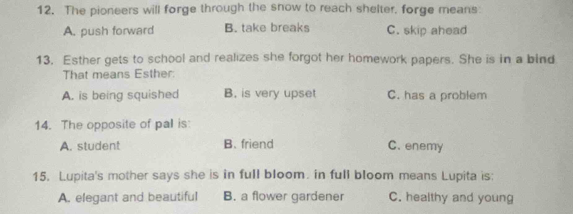 12. the pioneers will forge through the snow to reach shelter. forge me…