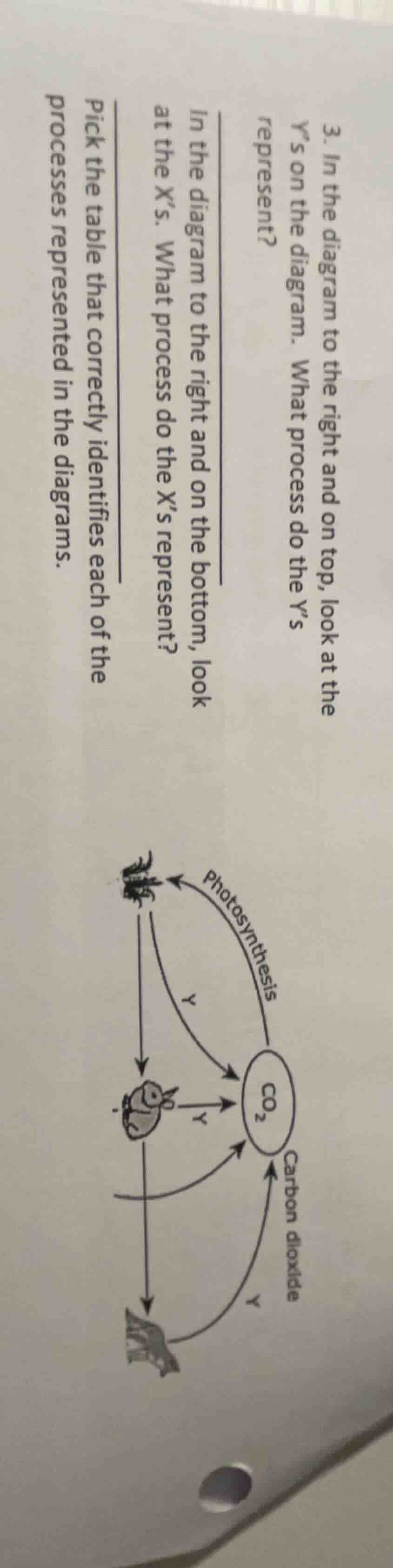 3. in the diagram to the right and on top, look at the y’s on the diagr…