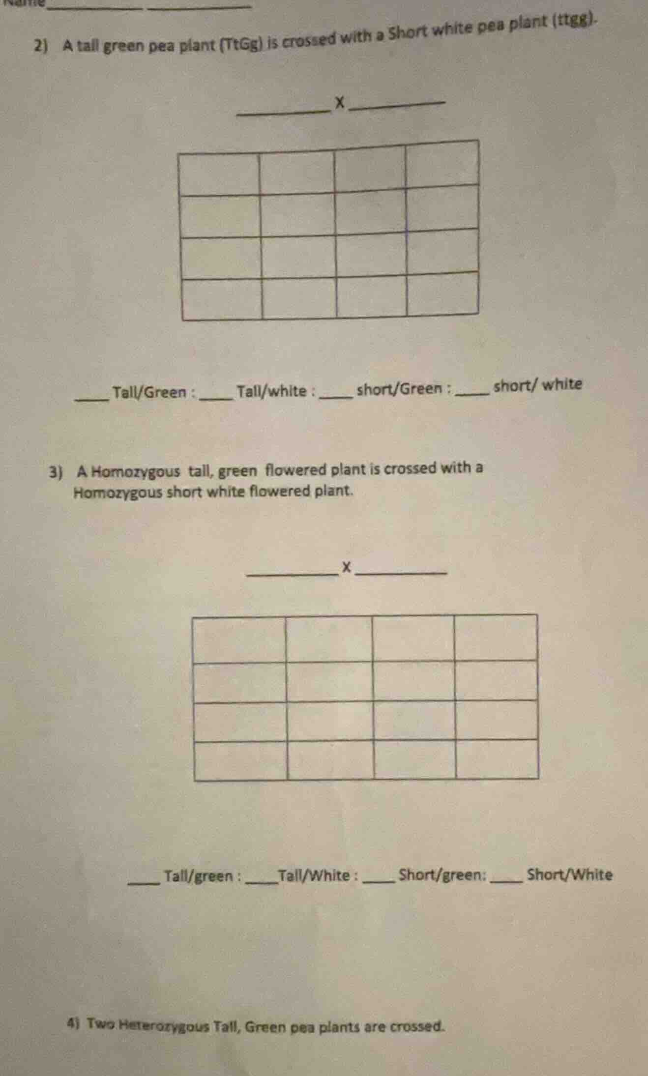 name 2) a tall green pea plant (ttgg) is crossed with a short white pea…