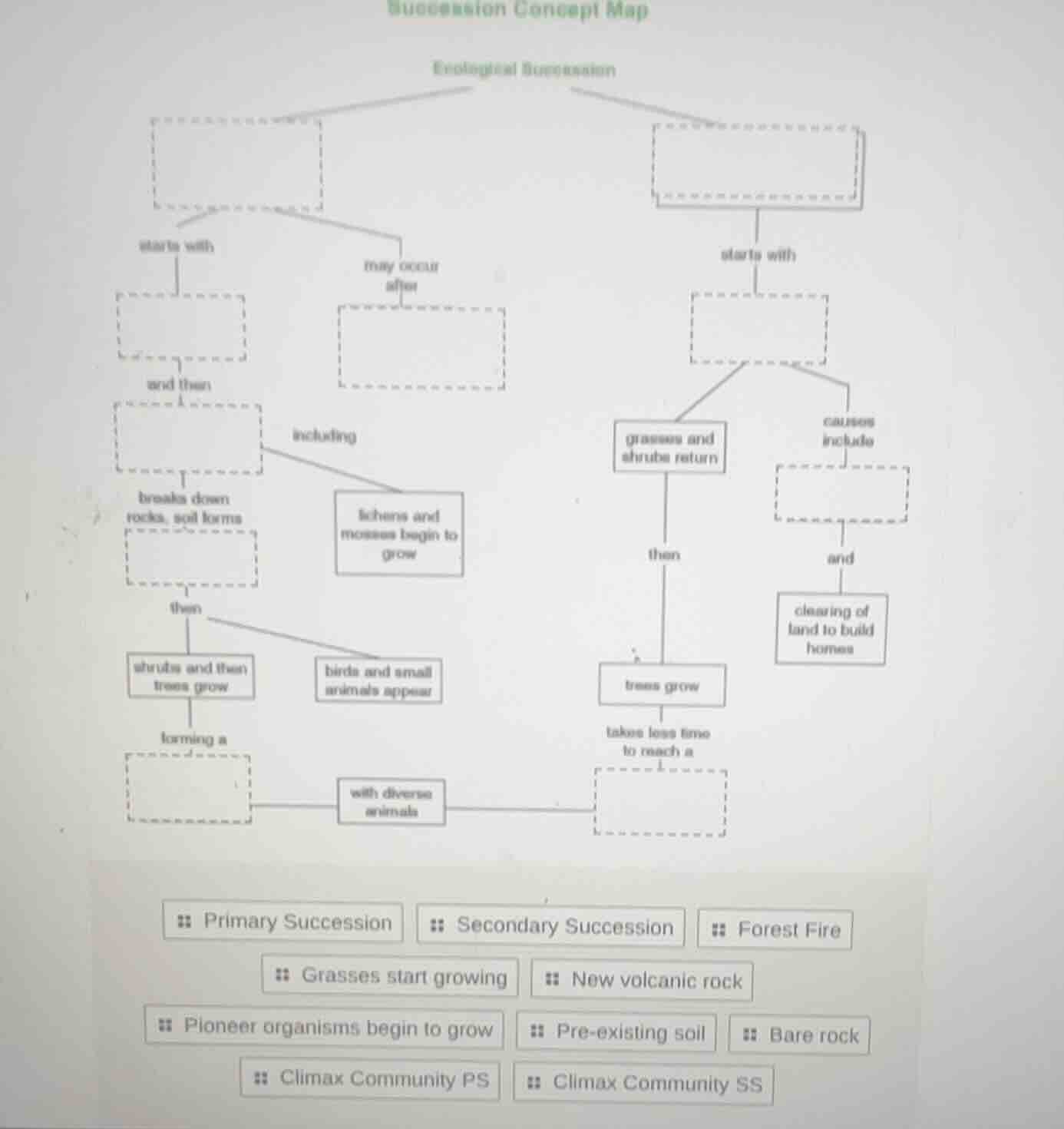 succession concept map ecological succession various boxes and connecti…
