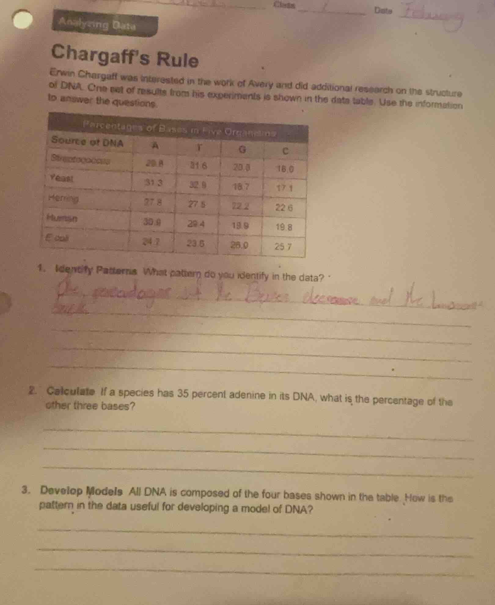 analyzing data chargaff’s rule erwin chargaff was interested in the wor…