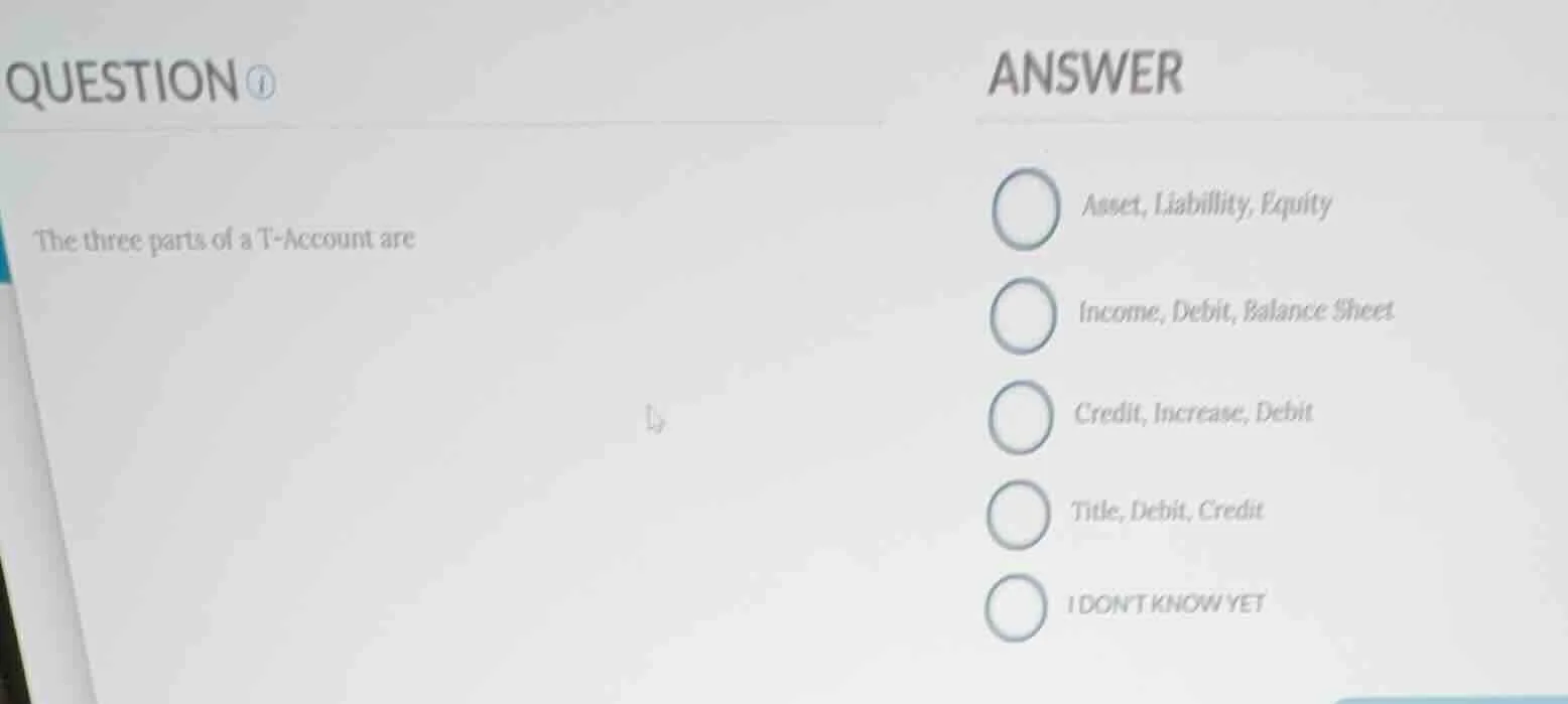 the three parts of a t - account are