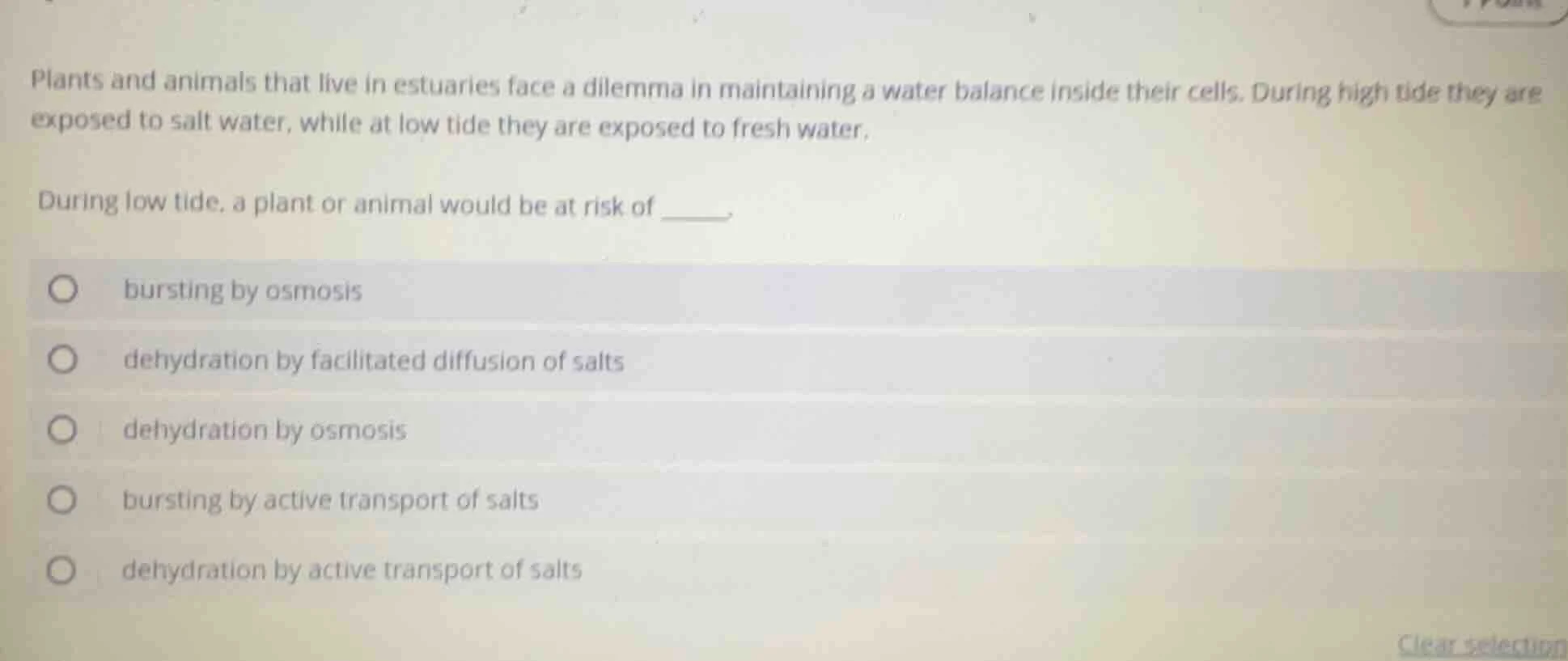 plants and animals that live in estuaries face a dilemma in maintaining…