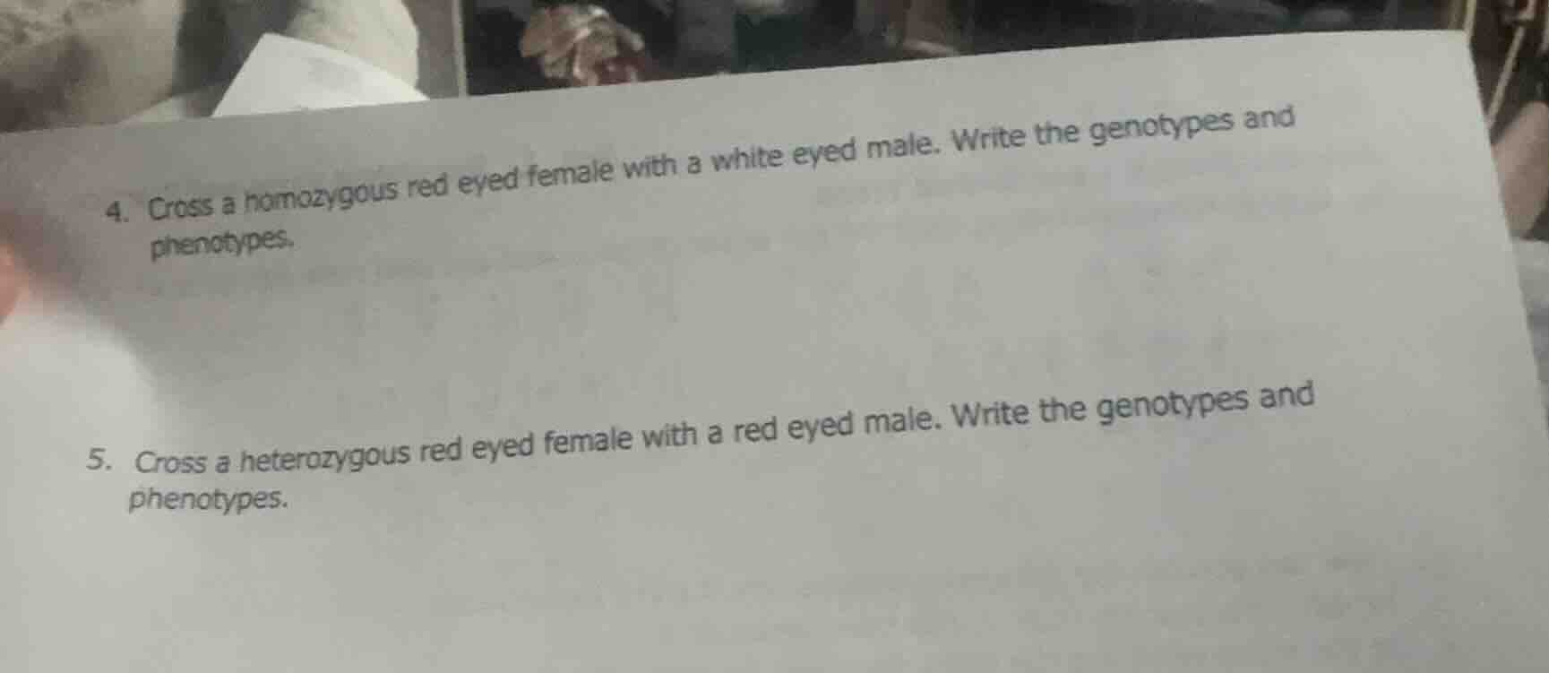 4. cross a homozygous red eyed female with a white eyed male. write the…