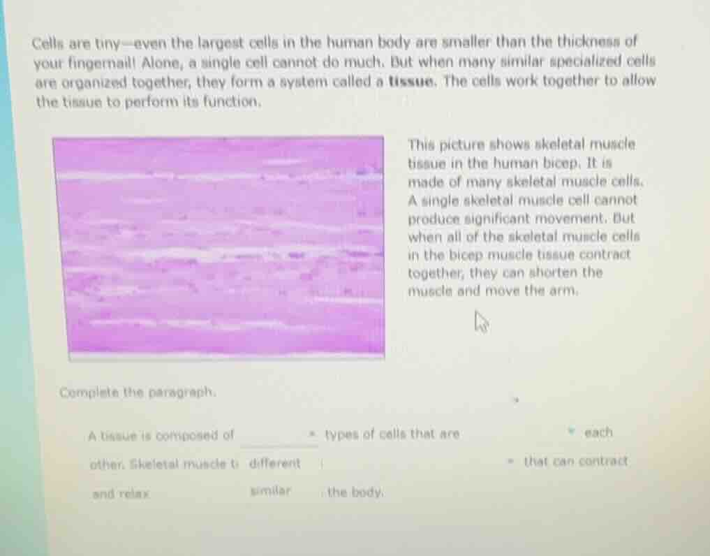 cells are tiny—even the largest cells in the human body are smaller tha…