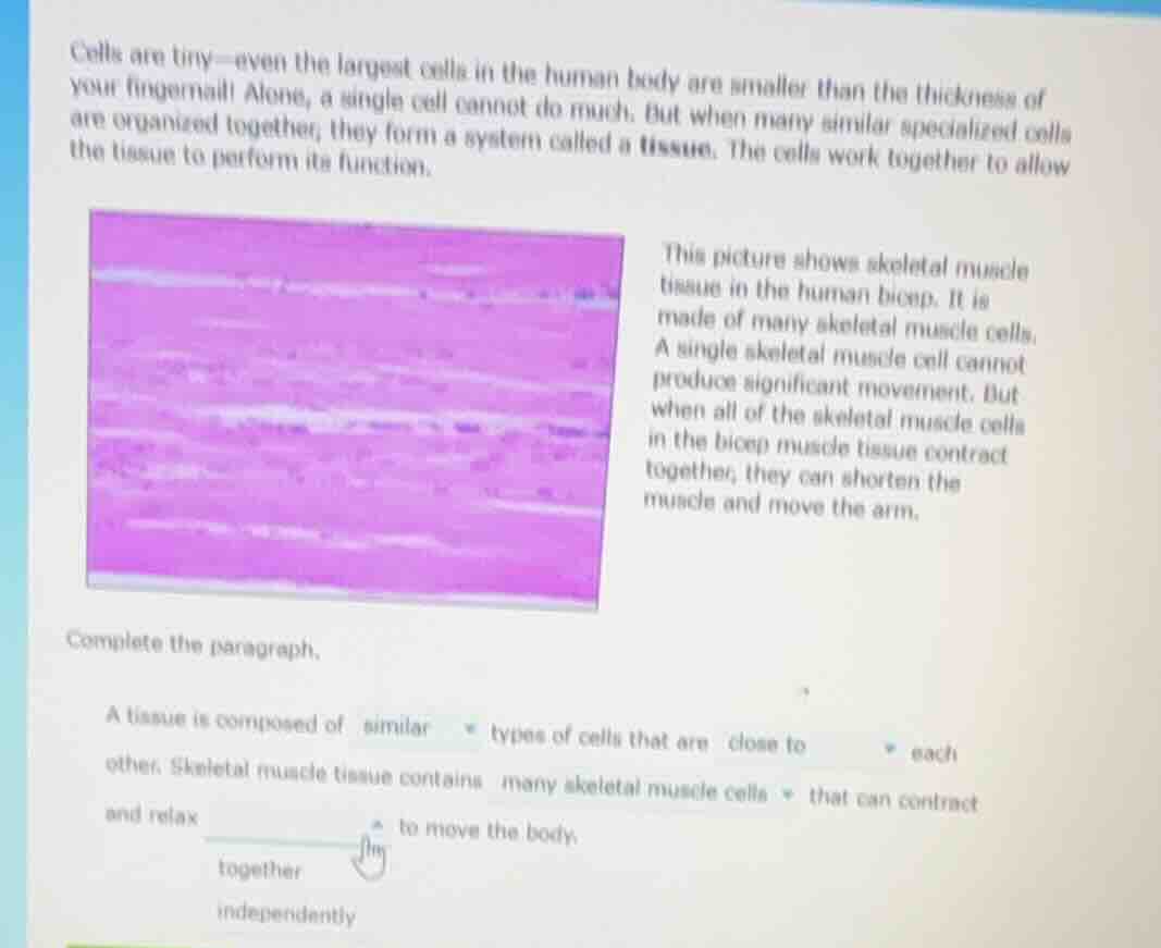 cells are tiny—even the largest cells in the human body are smaller tha…