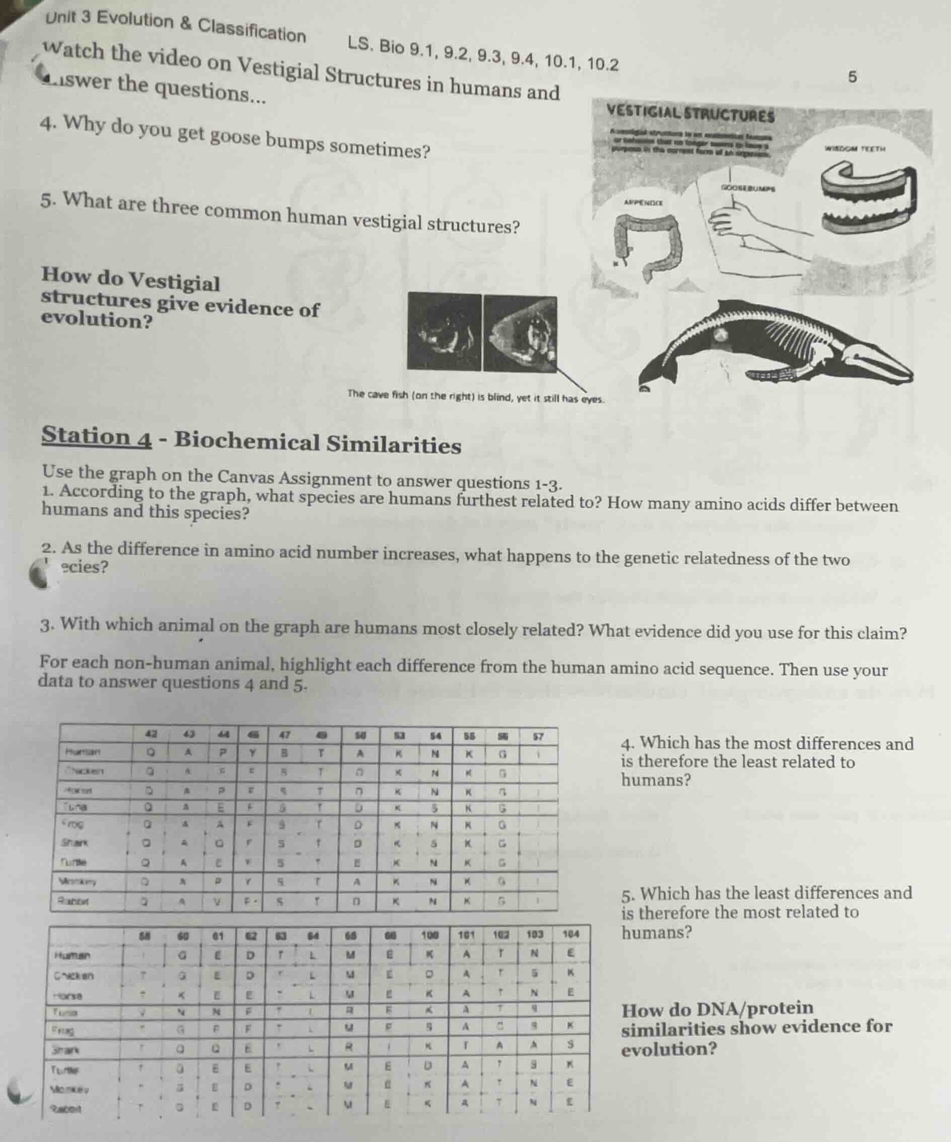 unit 3 evolution & classification ls. bio 9.1, 9.2, 9.3, 9.4, 10.1, 10.…