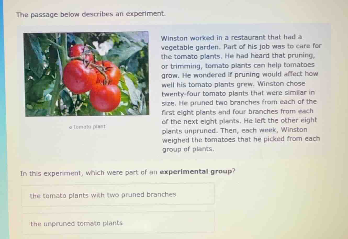 the passage below describes an experiment. a tomato plant winston worke…