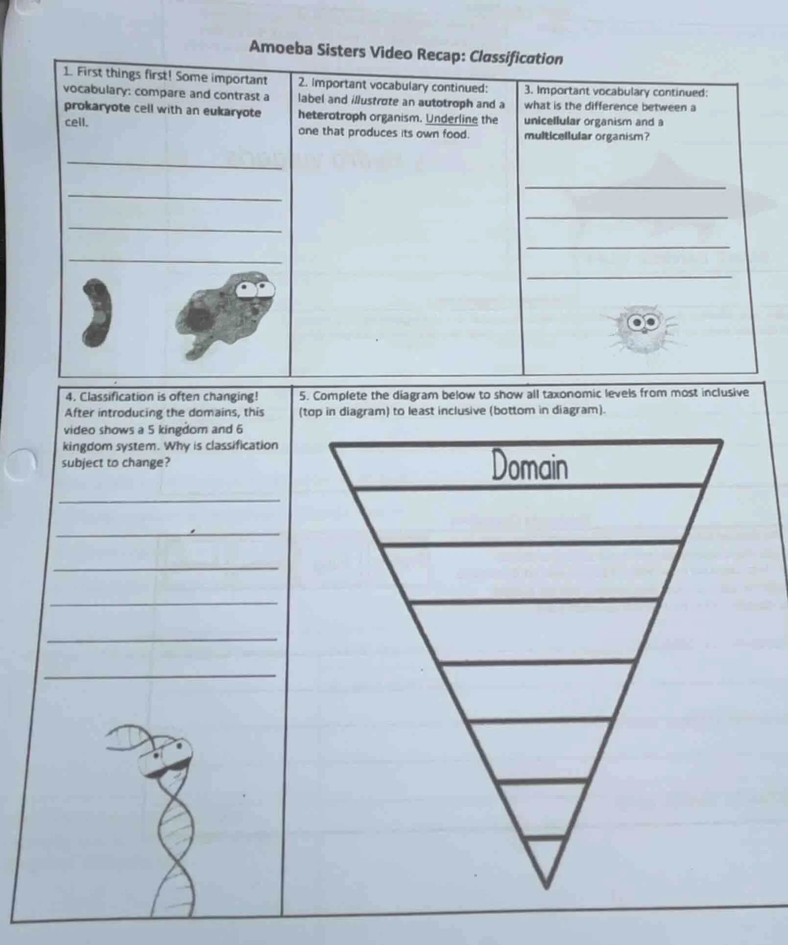 amoeba sisters video recap: classification 1. first things first! some …