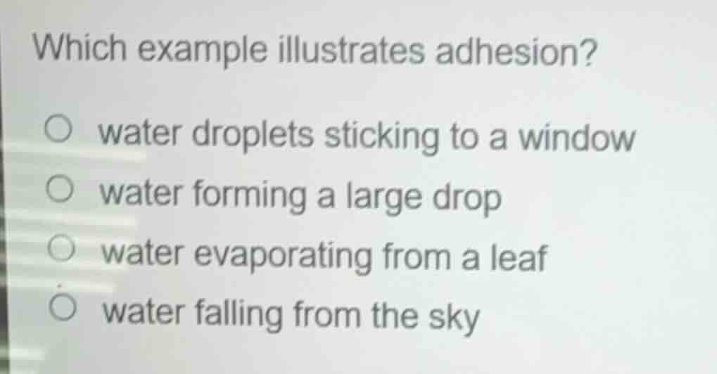 which example illustrates adhesion? ○ water droplets sticking to a wind…