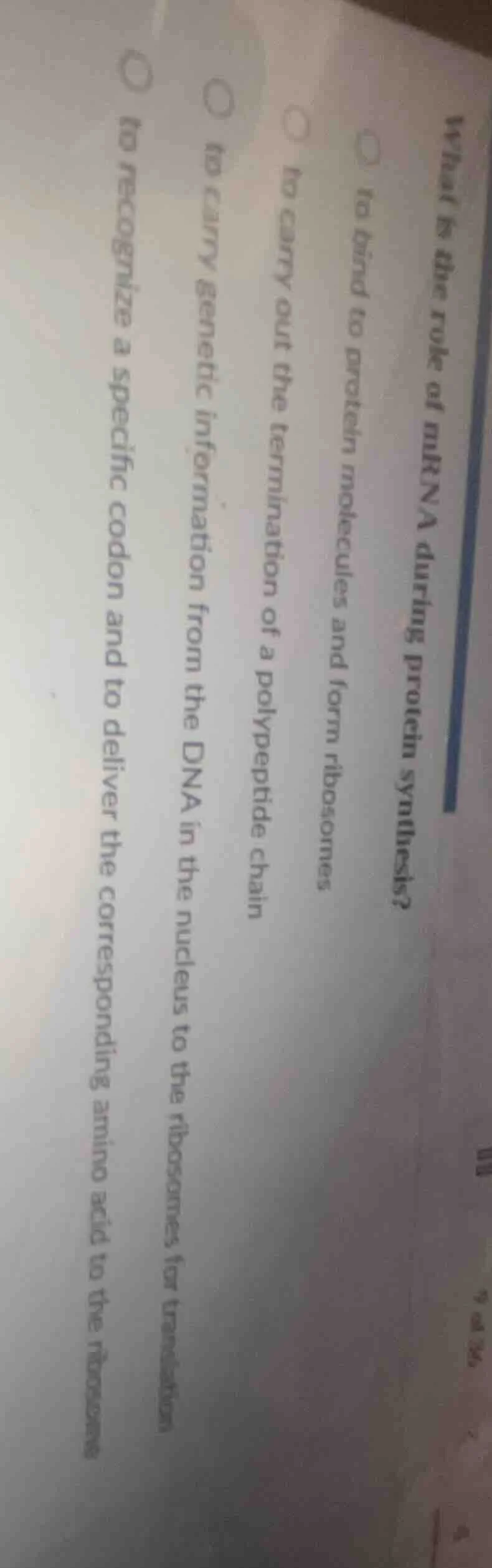 what is the role of mrna during protein synthesis?○ to bind to protein …