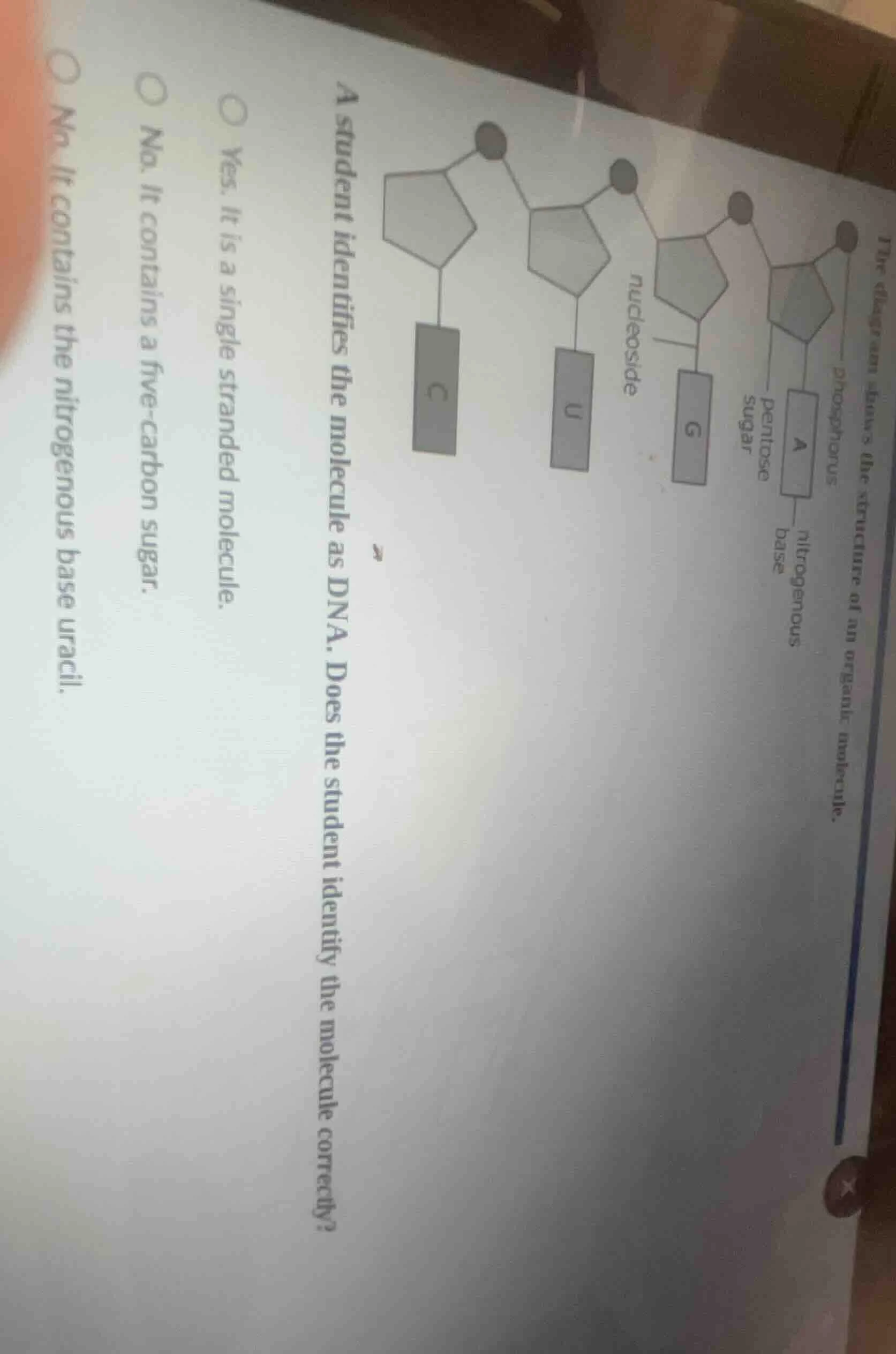 the diagram shows the structure of an organic molecule.a student identi…
