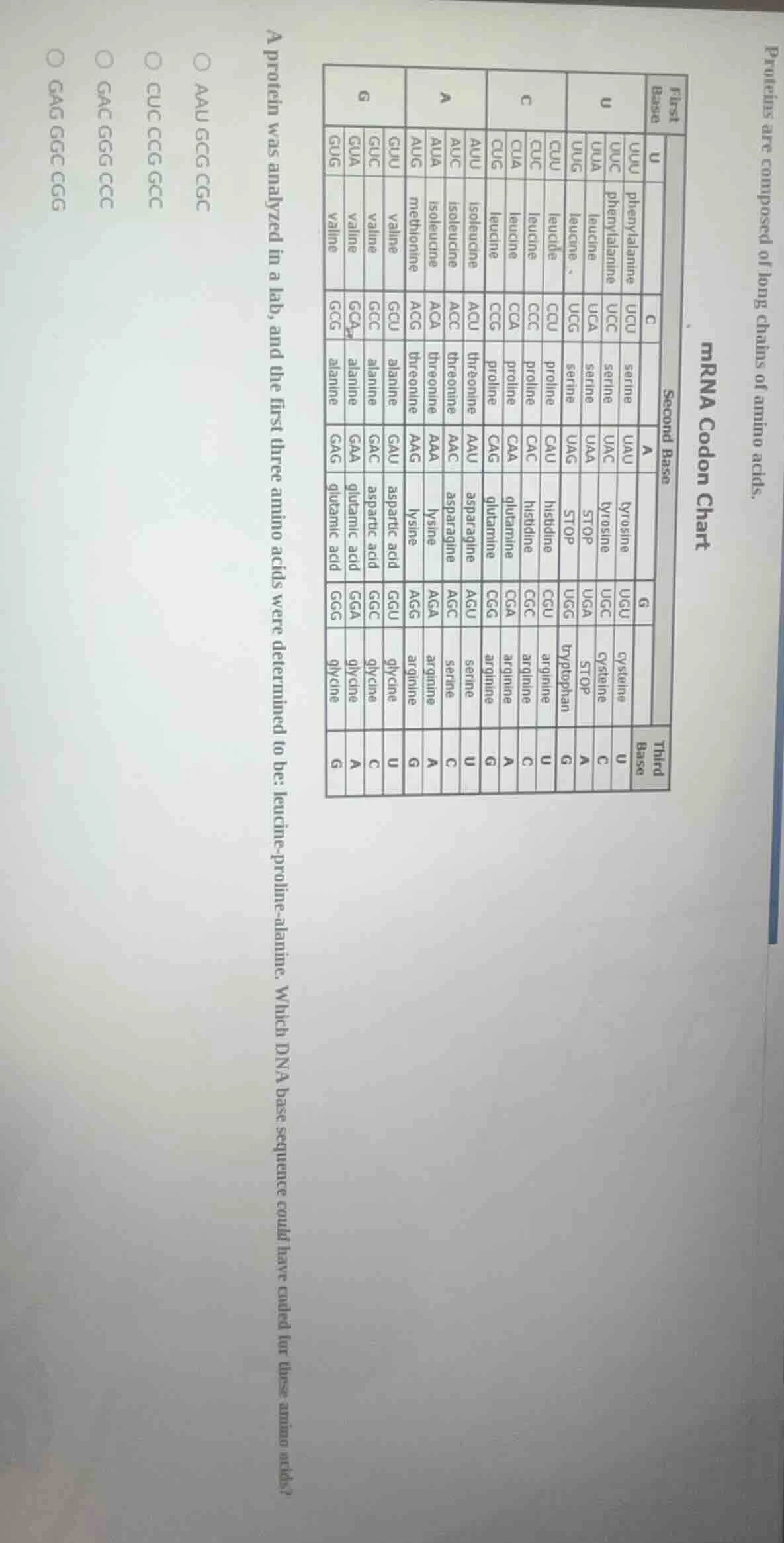 proteins are composed of long chains of amino acids. mrna codon chart a…