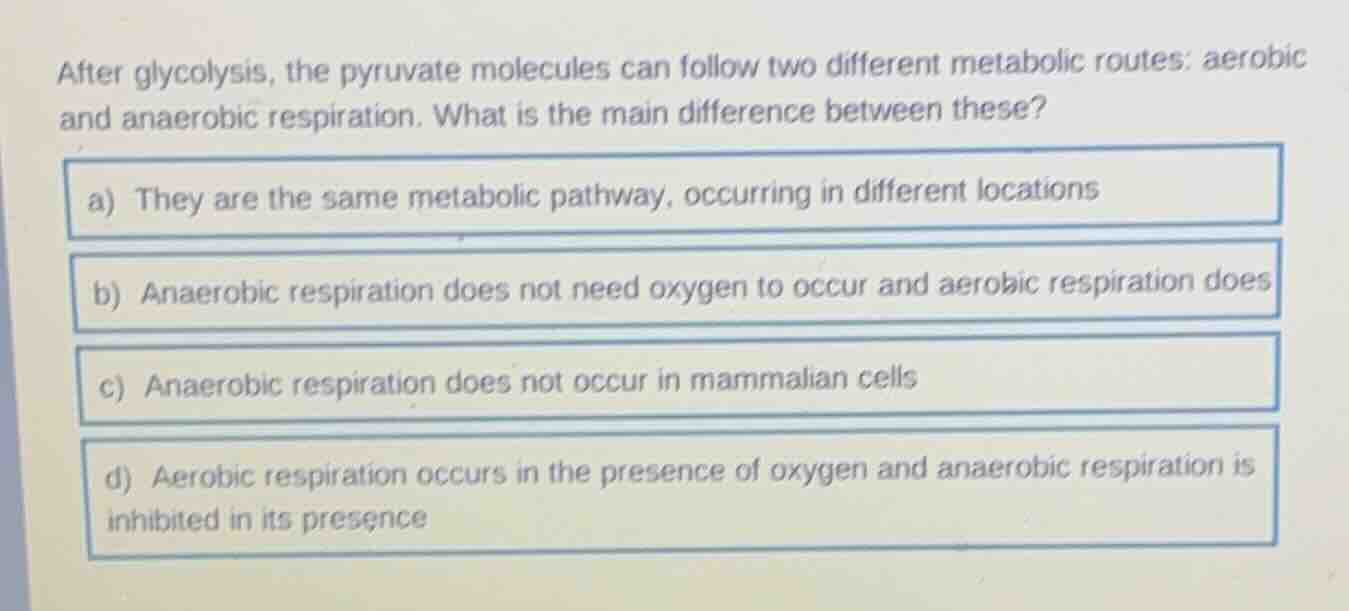 after glycolysis, the pyruvate molecules can follow two different metab…