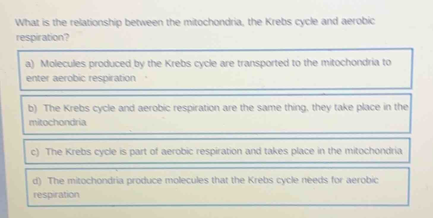 what is the relationship between the mitochondria, the krebs cycle and …