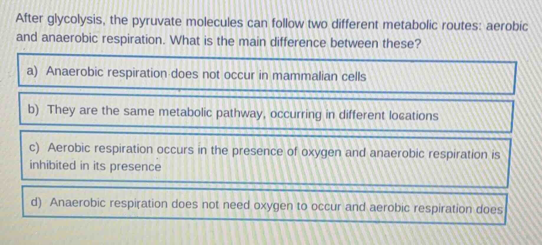 after glycolysis, the pyruvate molecules can follow two different metab…