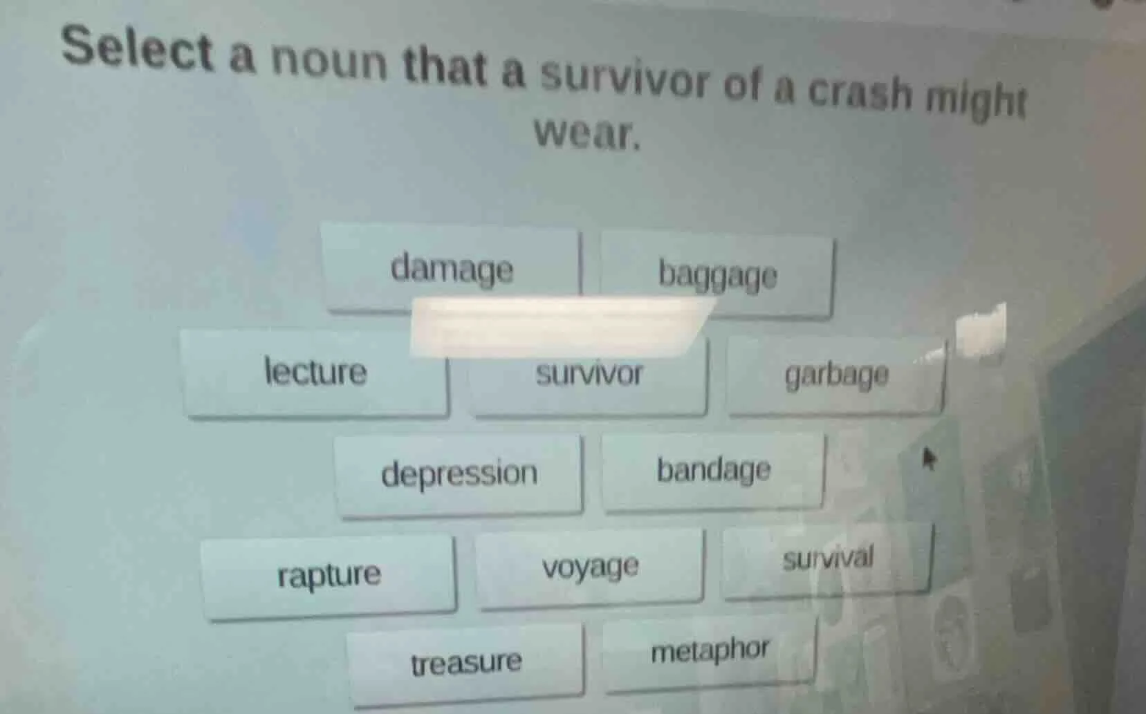 select a noun that a survivor of a crash might wear. damage baggage lec…