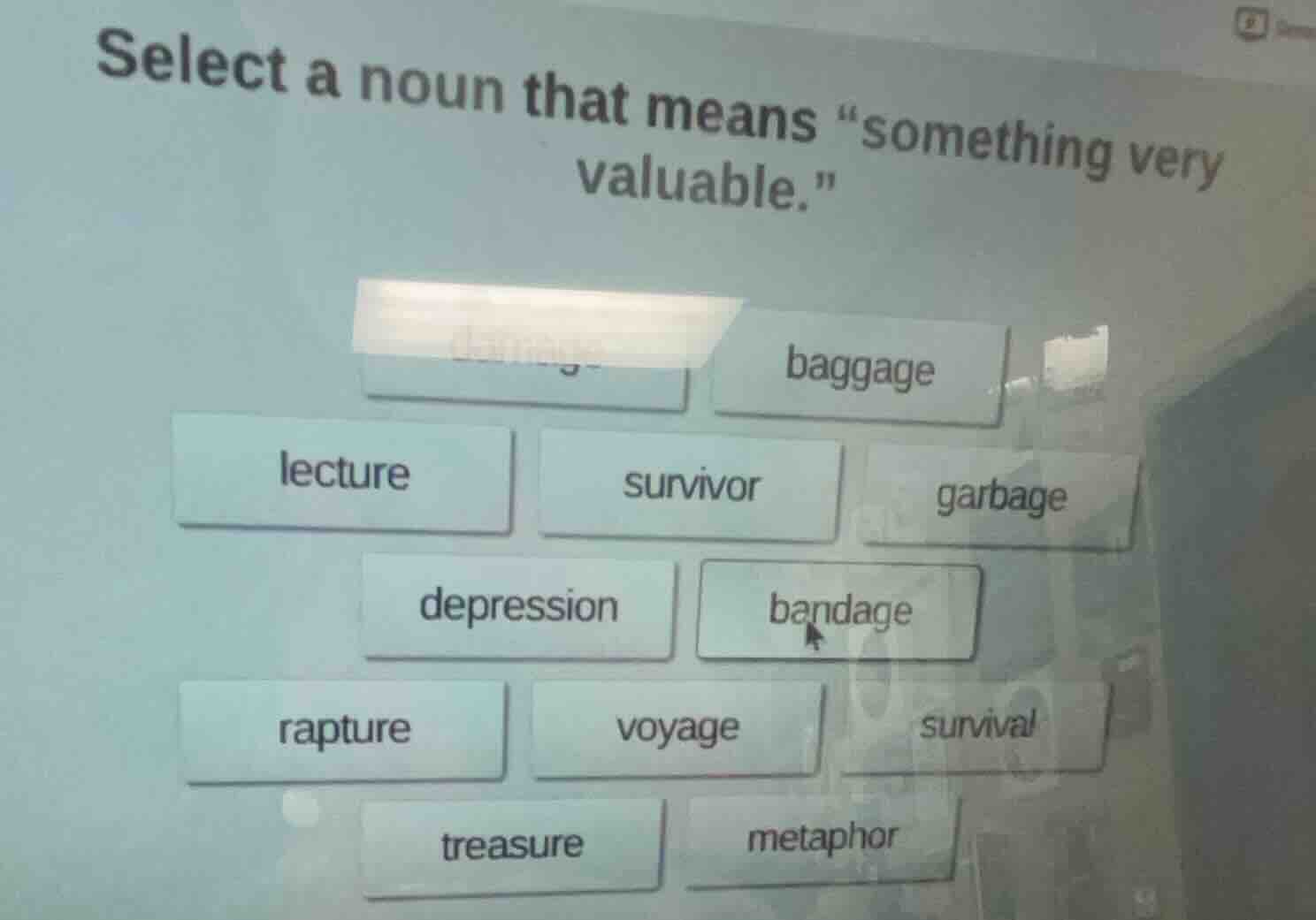 select a noun that means \something very valuable.\ baggage lecture sur…