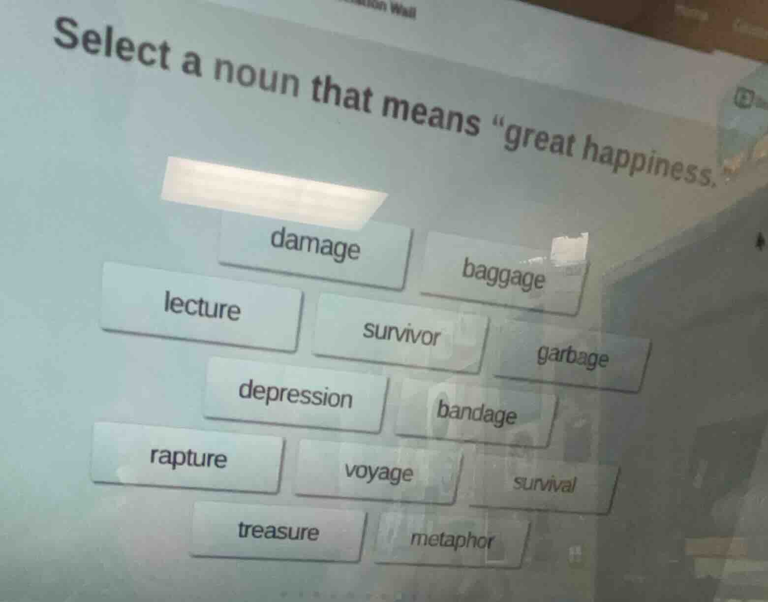 select a noun that means \great happiness.\damagebaggagelecturesurvivor…