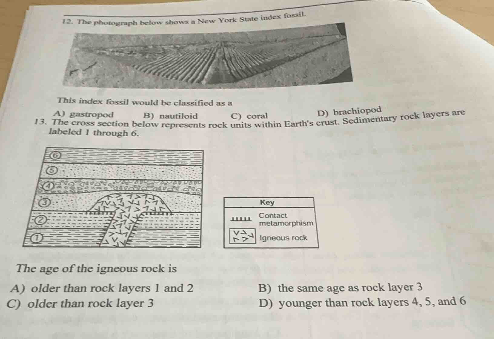 12. the photograph below shows a new york state index fossil. this inde…