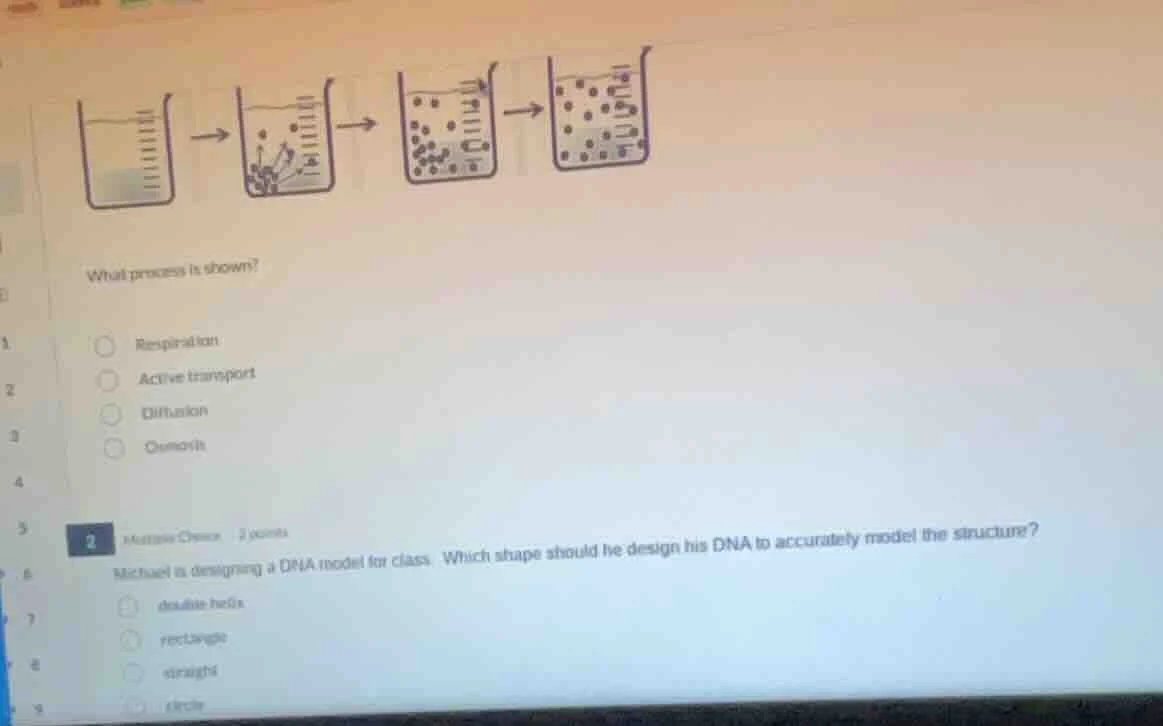 what process is shown?respirationactive transportdiffusionosmosis2 mult…