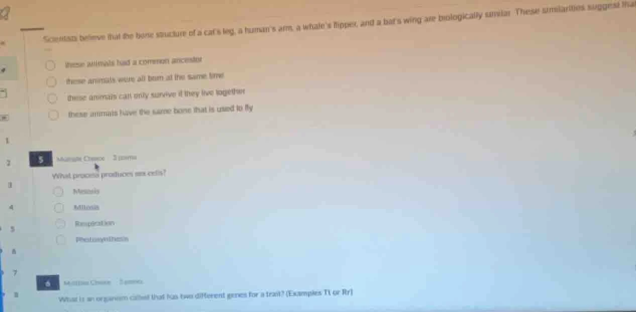 scientists believe that the bone structure of a cats leg, a humans arm,…