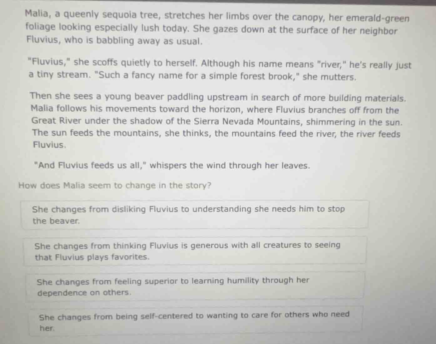 malia, a queenly sequoia tree, stretches her limbs over the canopy, her…