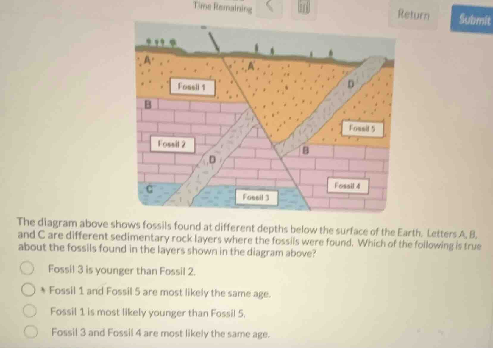 the diagram above shows fossils found at different depths below the sur…