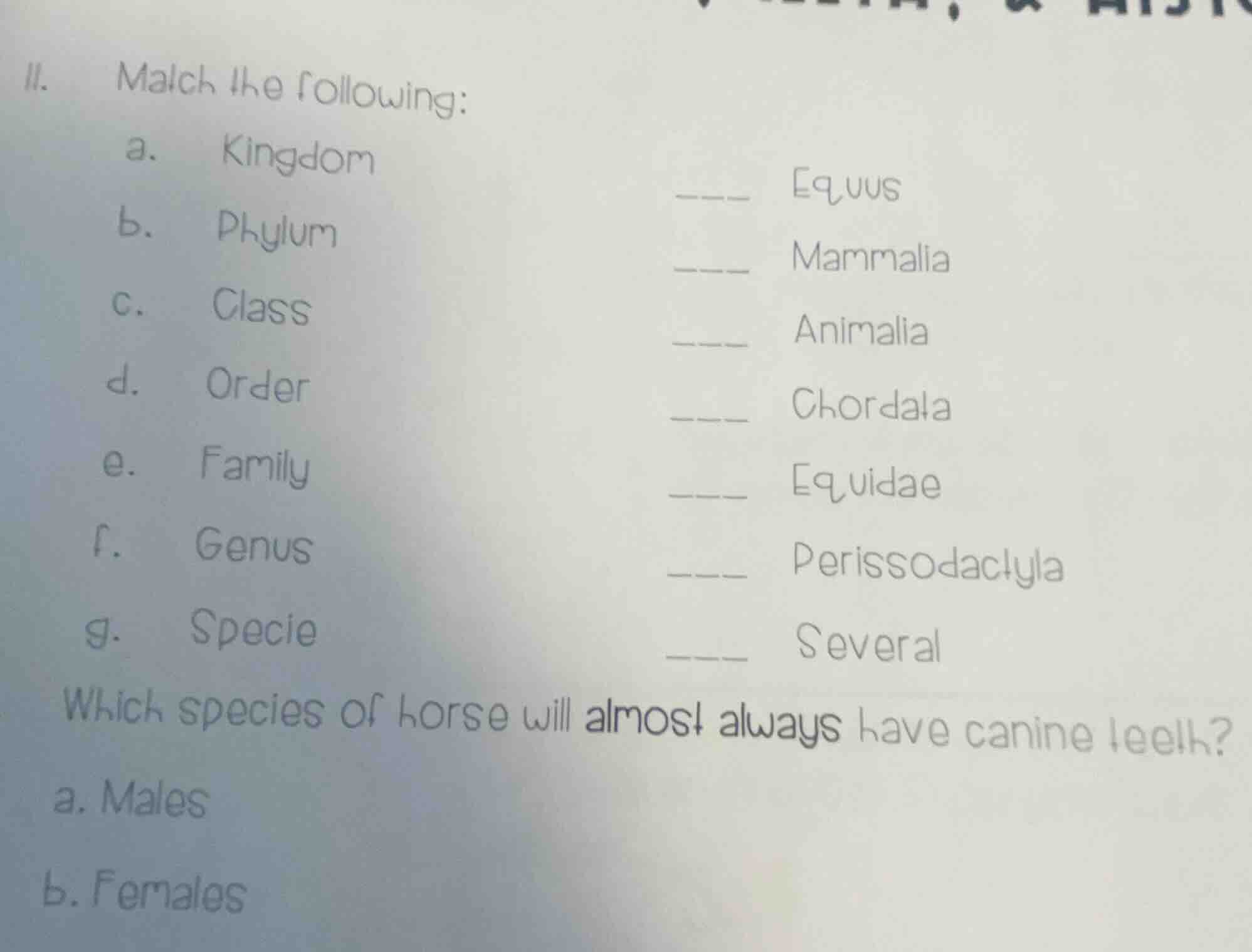 ii. match the following: a. kingdom ____ equus b. phylum ____ mammalia …