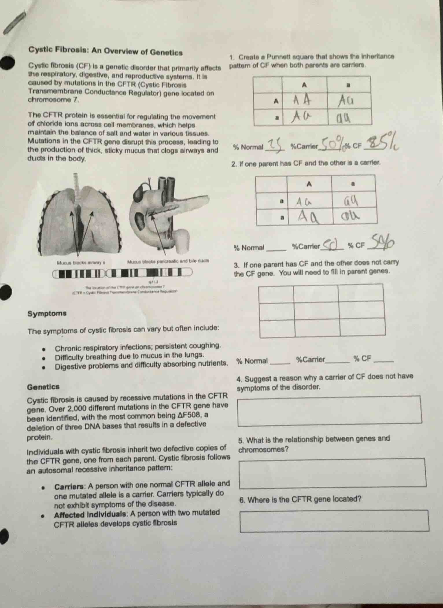 cystic fibrosis: an overview of geneticscystic fibrosis (cf) is a genet…
