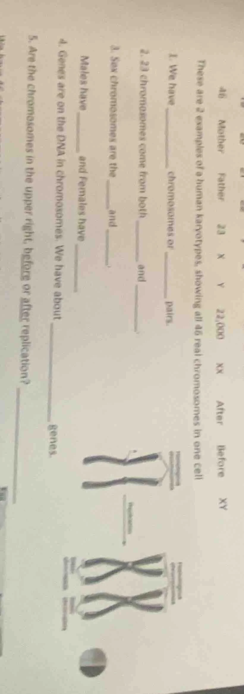 46 mother father 23 x y 22,000 xx after before xy these are 2 examples …